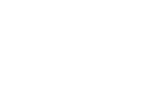 IBM Partner White Logo